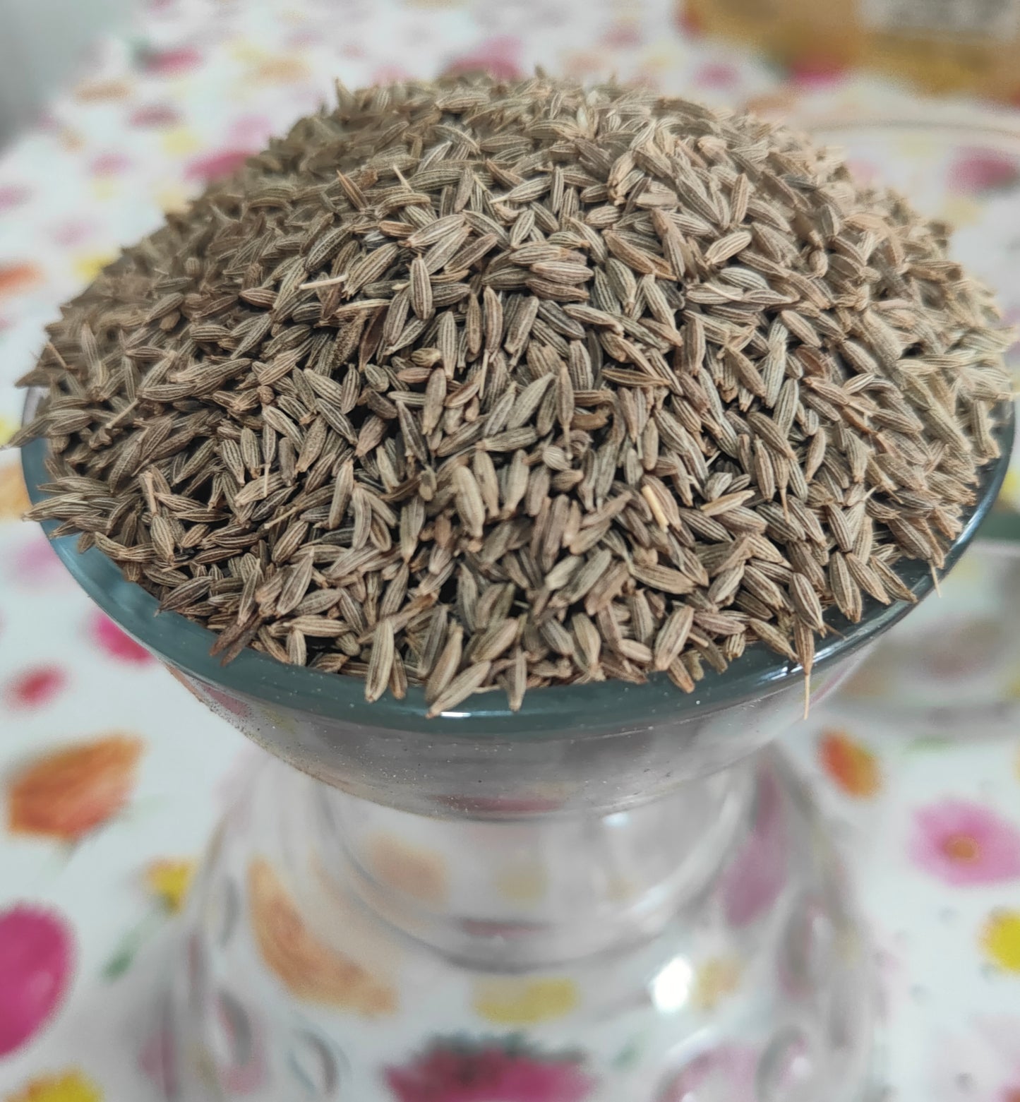 Cumin seeds | Jeera seeds